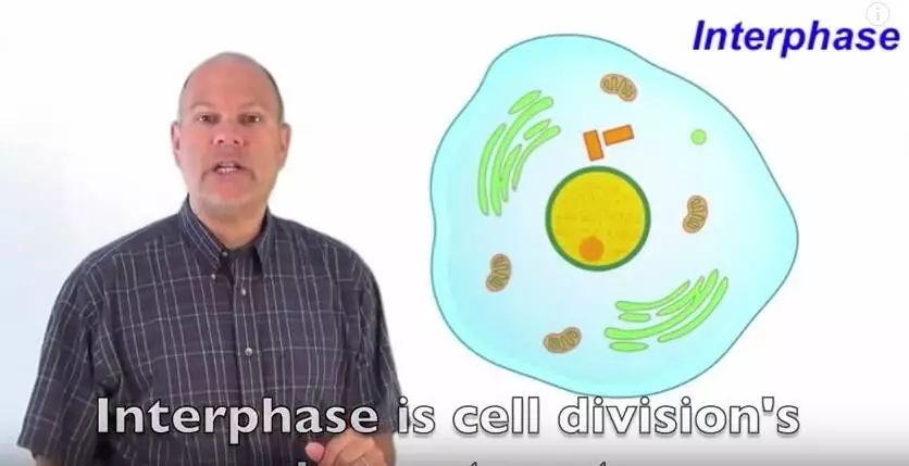 A new way to open biology books: listen to mitotic rap!